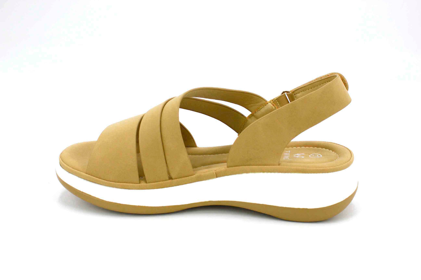 Paz en Cada Paso Camel