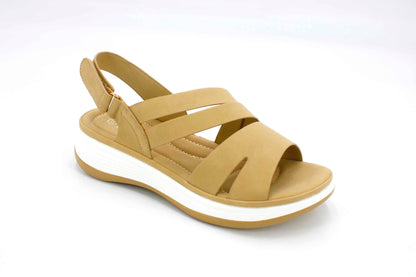 Paz en Cada Paso Camel