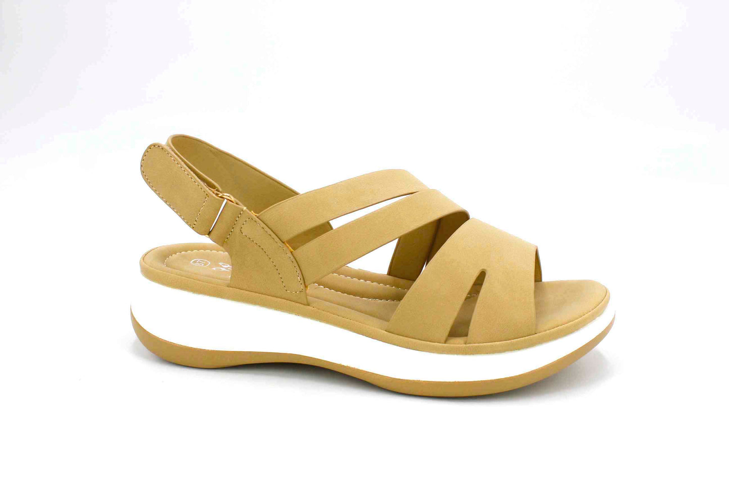 Paz en Cada Paso Camel